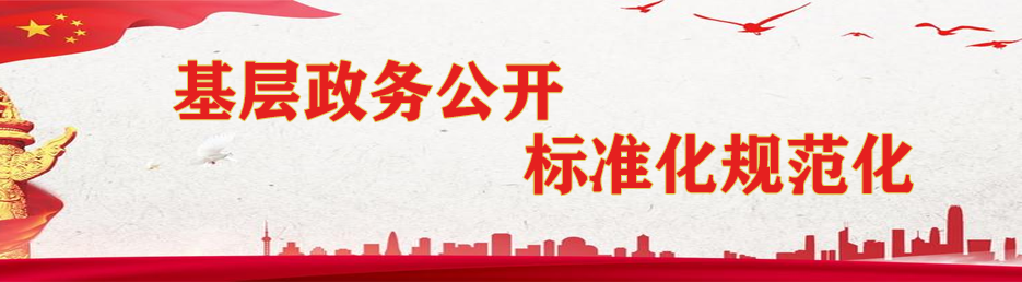基层政务公开标准化规范化