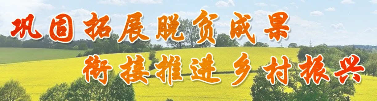 巩固拓展脱贫成果   衔接推进乡村振兴